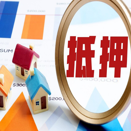 王下乡助贷公司推荐一家新渝启服